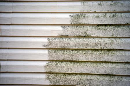 8 Surfaces That Should Always Be Soft Washed